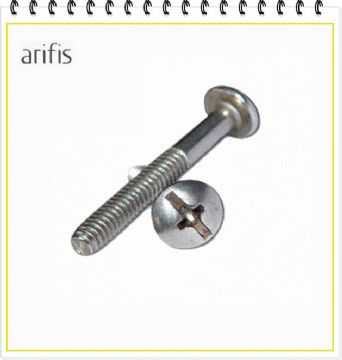 Captive Screw